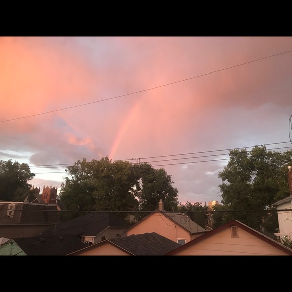 Meet your Posher, Ainsley - Picture 1 of 1